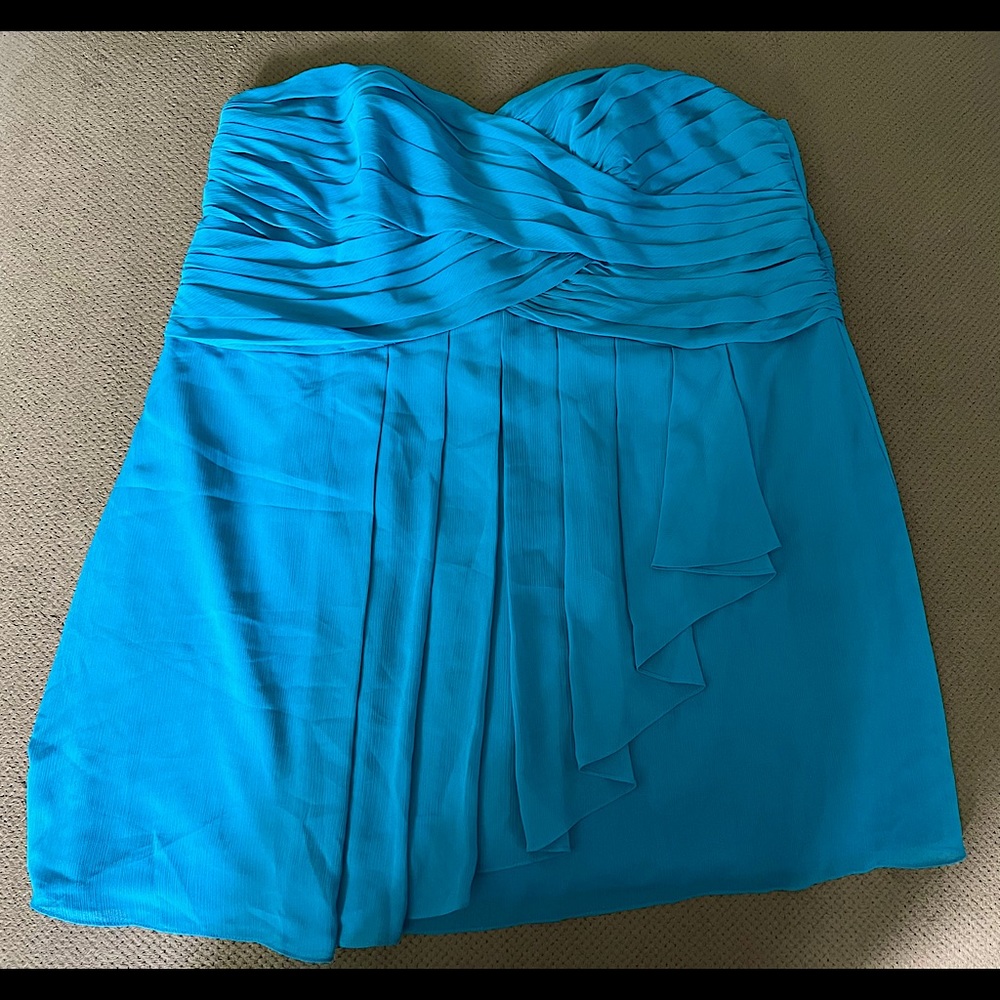 Plus size David’s Bridal bridesmaids/prom dress.